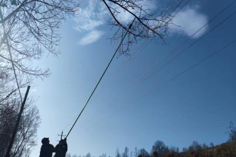 臨夏康樂：黨建引領(lǐng)助力頻跳線路治理（黨建+頻跳線路治理）