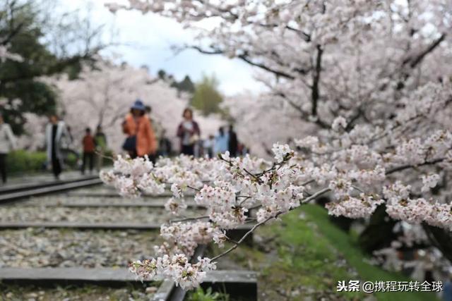 噓！令老板聞風喪膽的2019拼假攻略來了?。?021年超強拼假攻略來了）